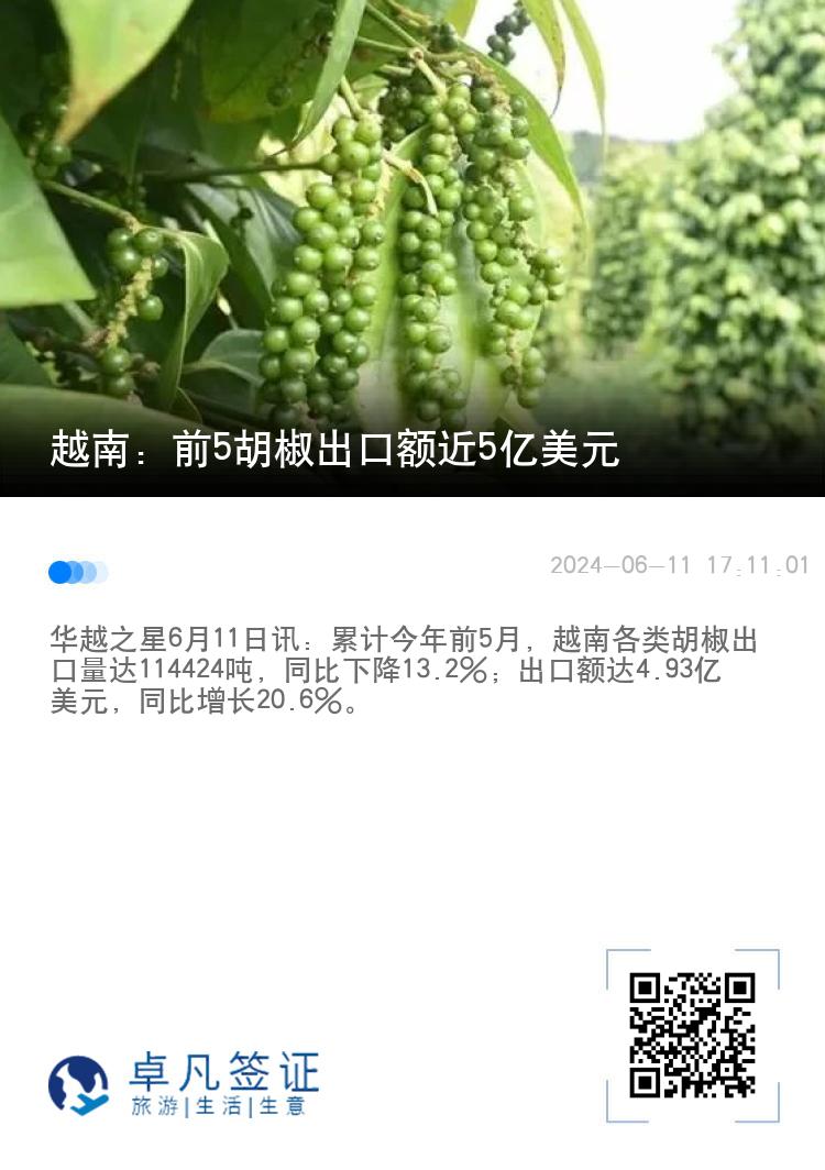 越南：前5胡椒出口额近5亿美元