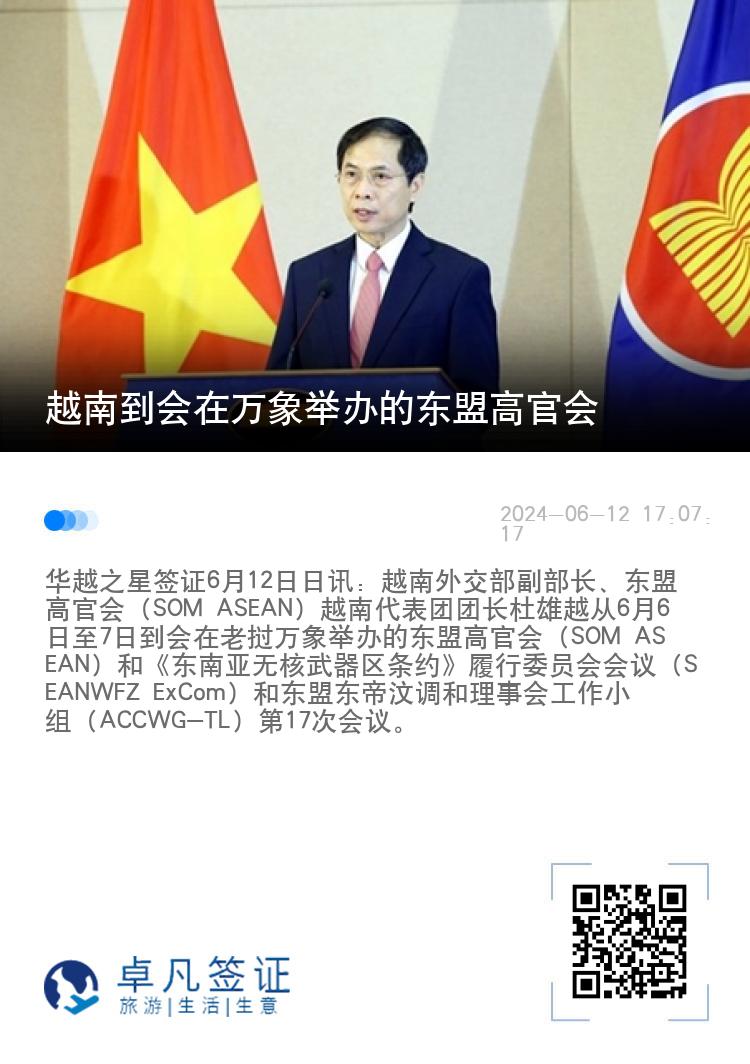 越南到会在万象举办的东盟高官会