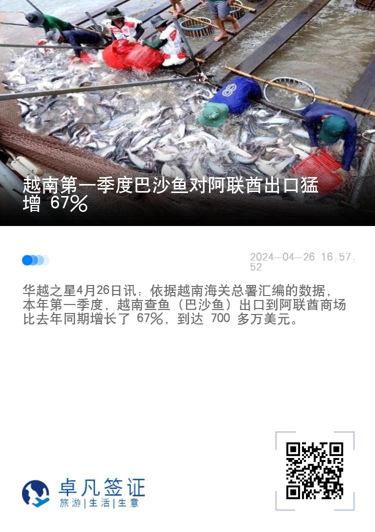 越南第一季度巴沙鱼对阿联酋出口猛增 67%