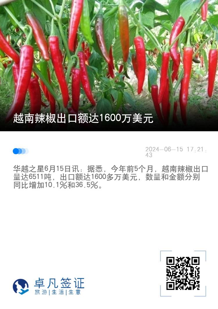 越南辣椒出口额达1600万美元