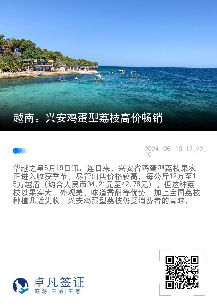 越南：兴安鸡蛋型荔枝高价畅销