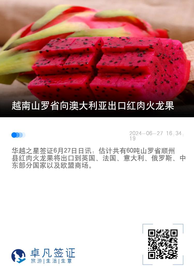 越南山罗省向澳大利亚出口红肉火龙果