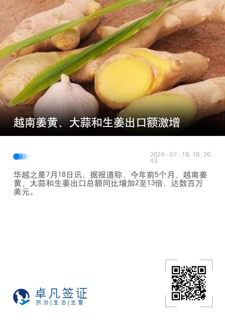 越南姜黄、大蒜和生姜出口额激增