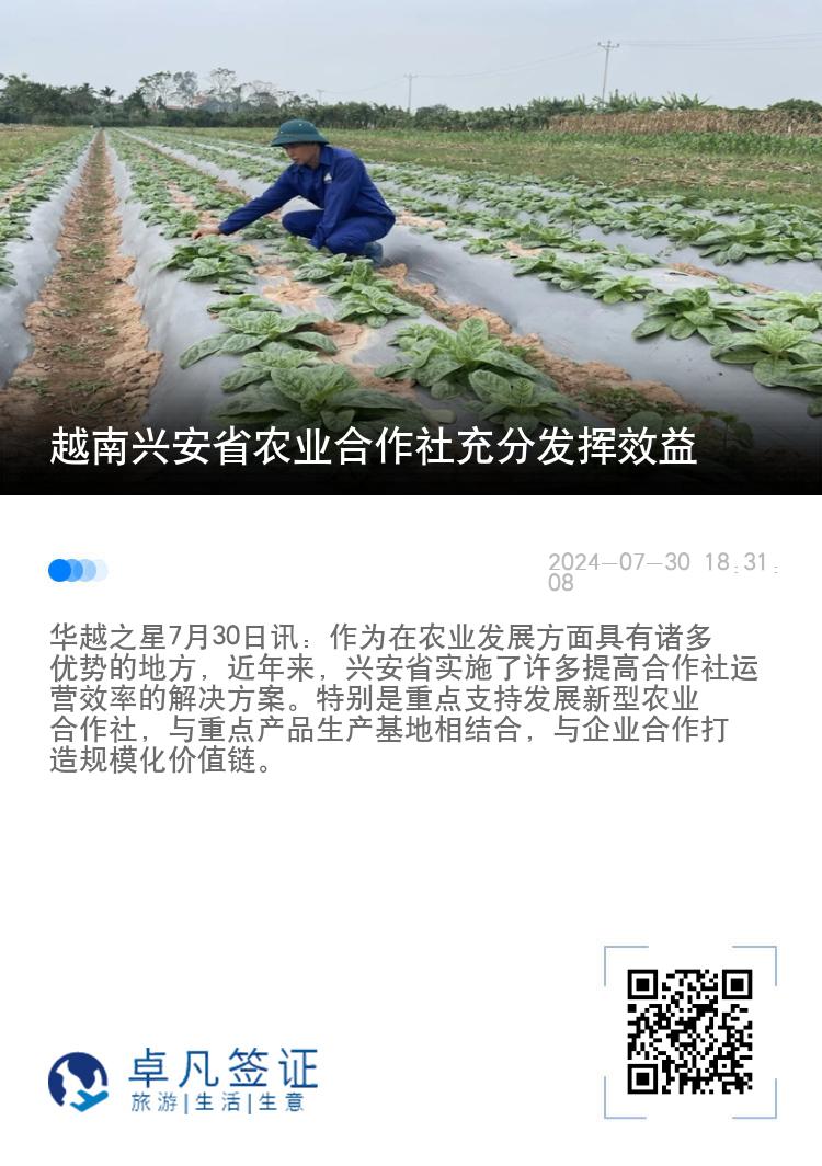 越南兴安省农业合作社充分发挥效益