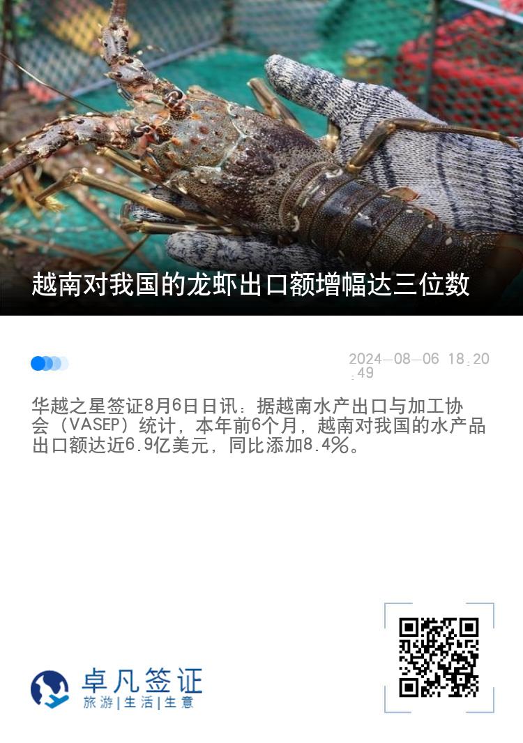 越南对我国的龙虾出口额增幅达三位数