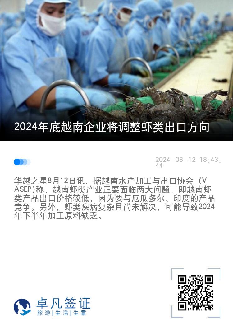 2024年底越南企业将调整虾类出口方向