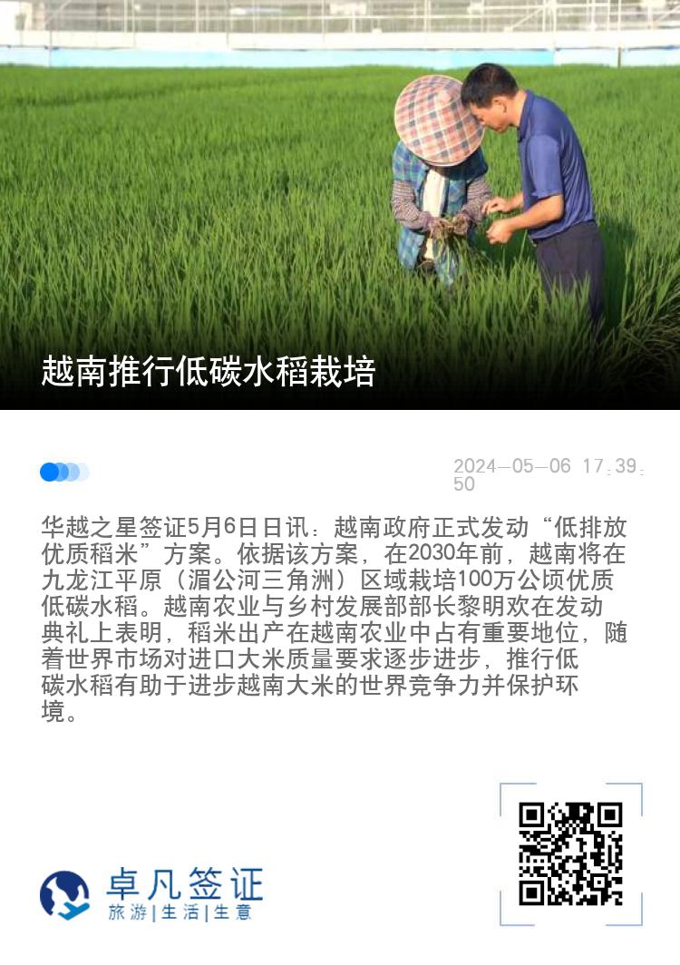 越南推行低碳水稻栽培