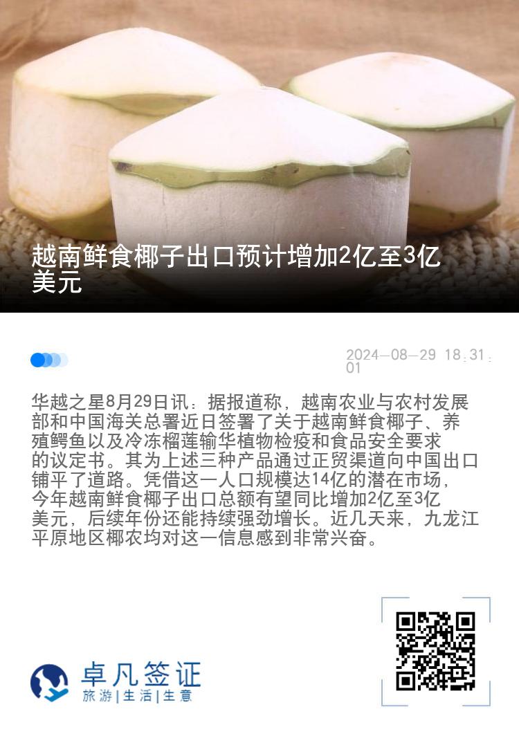 越南鲜食椰子出口预计增加2亿至3亿美元