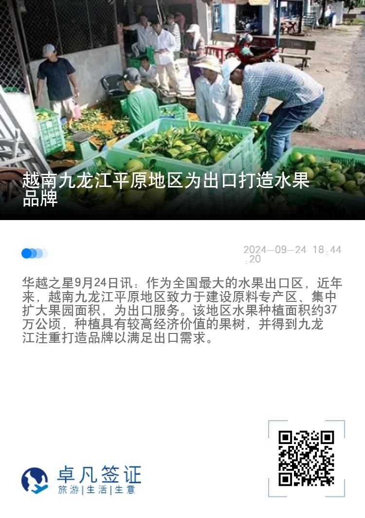 越南九龙江平原地区为出口打造水果品牌