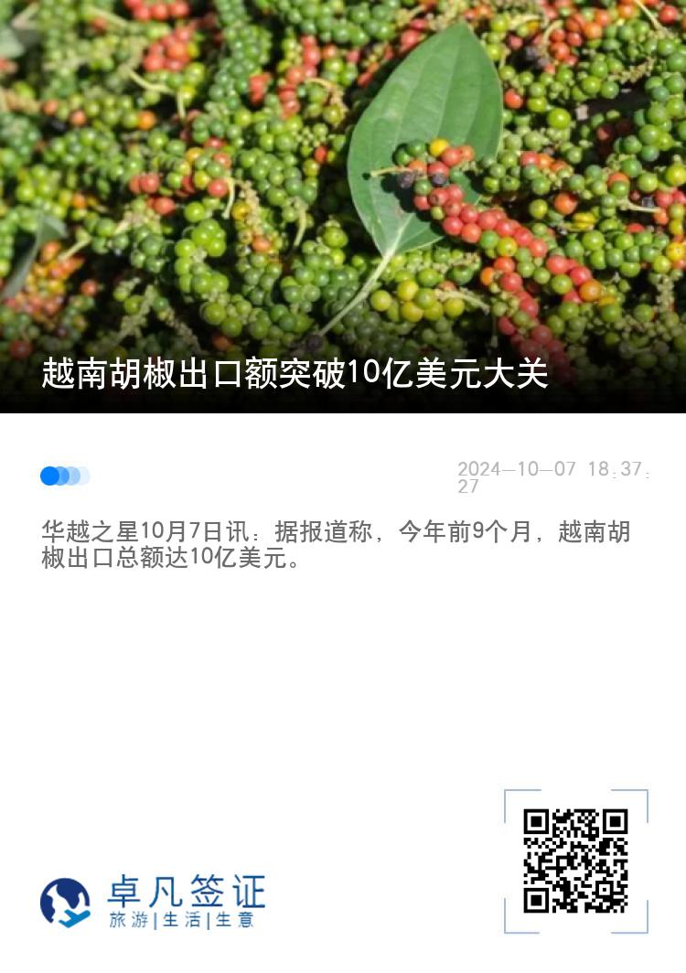 越南胡椒出口额突破10亿美元大关