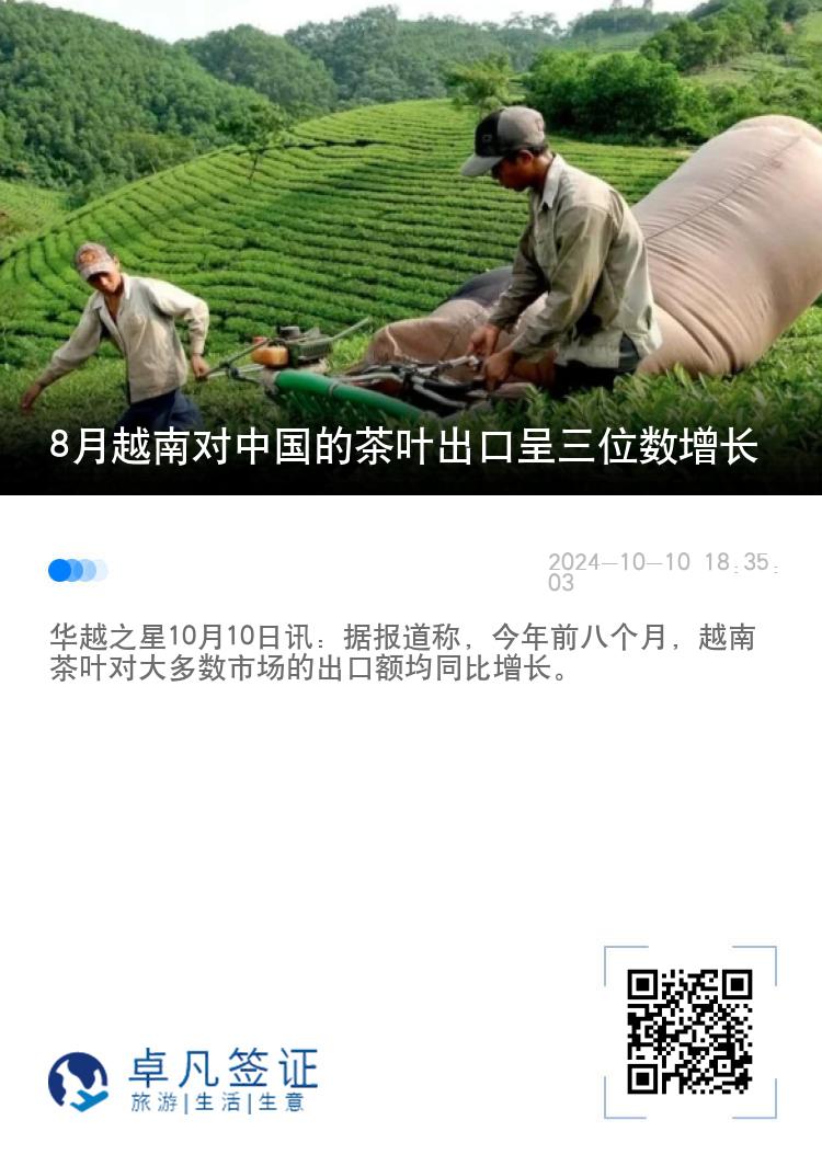 8月越南对中国的茶叶出口呈三位数增长