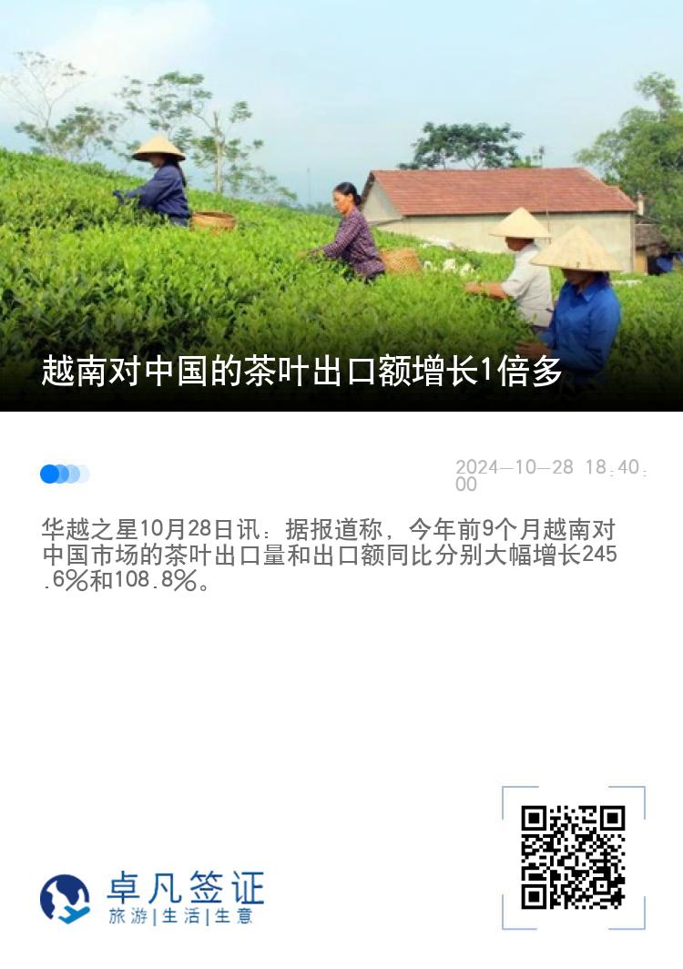 越南对中国的茶叶出口额增长1倍多