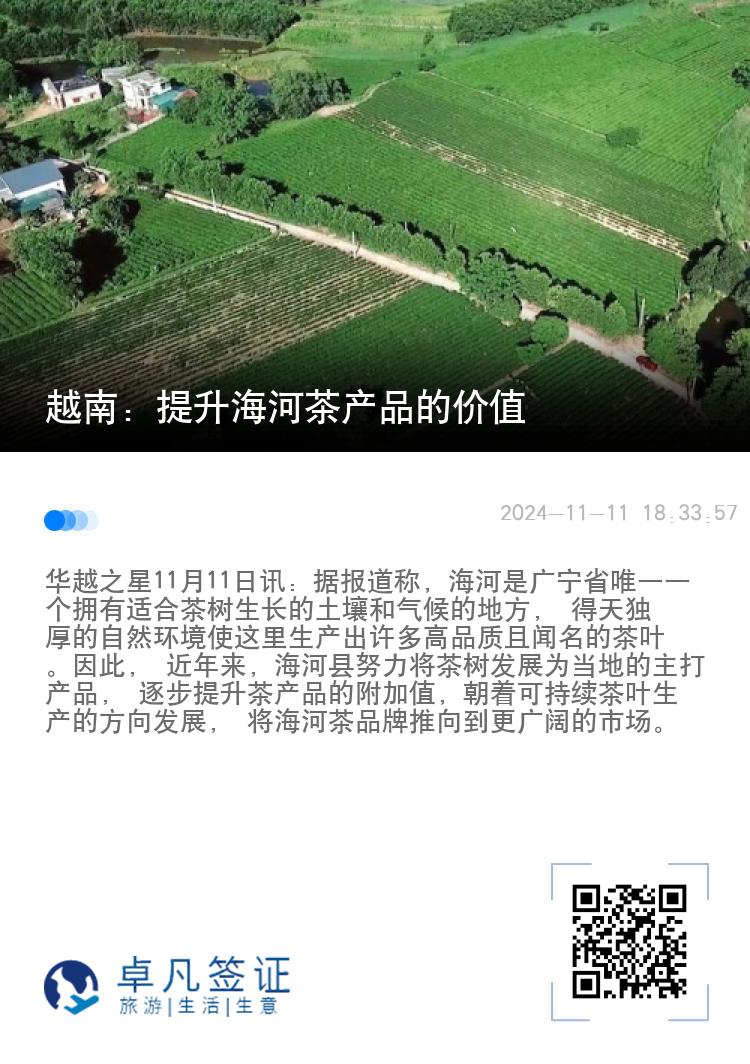 越南：提升海河茶产品的价值