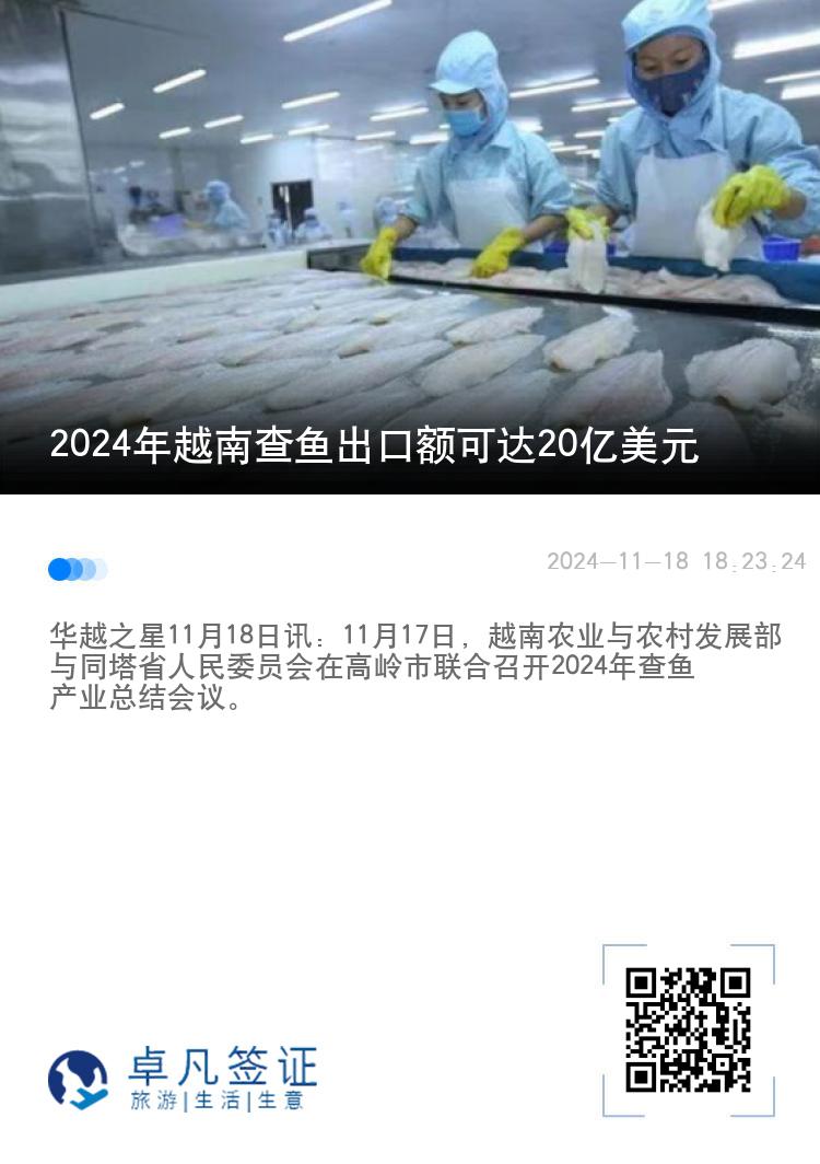 2024年越南查鱼出口额可达20亿美元