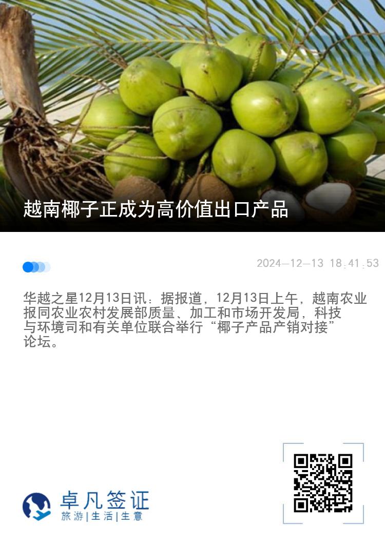 越南椰子正成为高价值出口产品