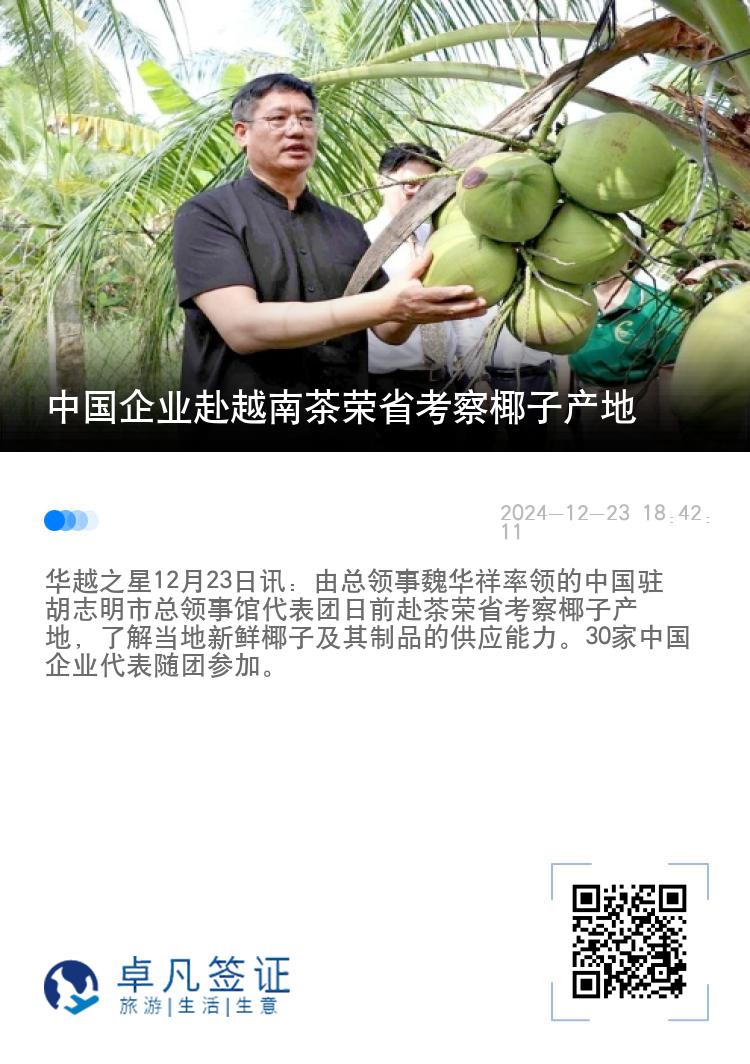 中国企业赴越南茶荣省考察椰子产地