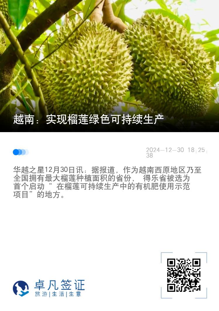 越南：实现榴莲绿色可持续生产