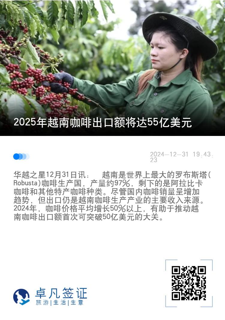 2025年越南咖啡出口额将达55亿美元