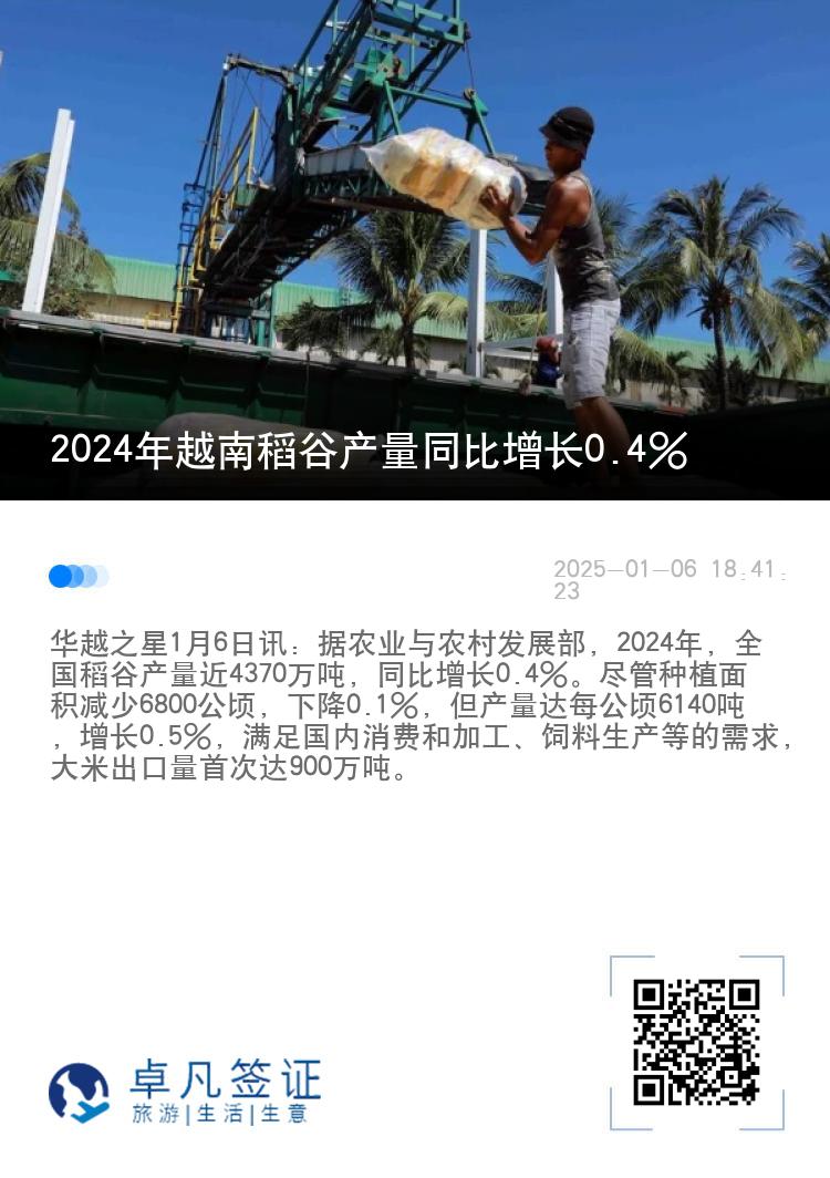 2024年越南稻谷产量同比增长0.4%