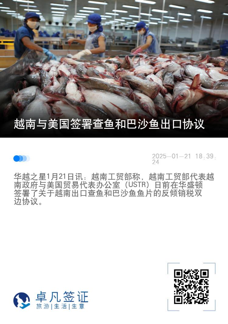 越南与美国签署查鱼和巴沙鱼出口协议