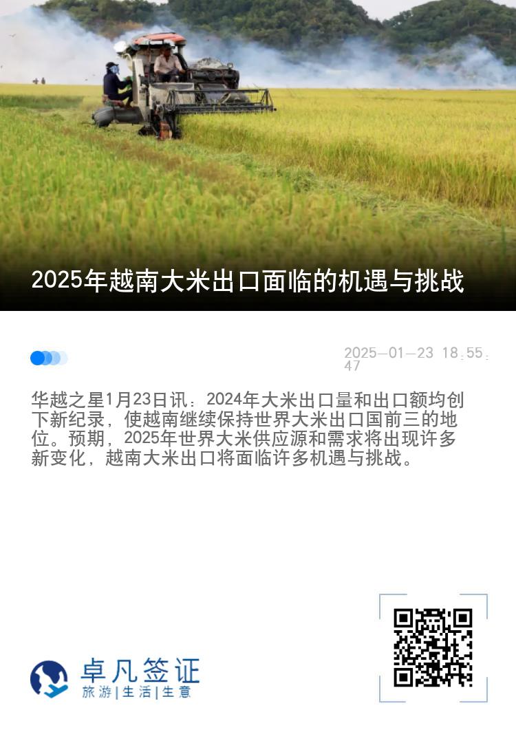 2025年越南大米出口面临的机遇与挑战