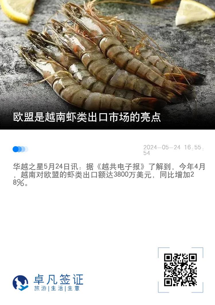 欧盟是越南虾类出口市场的亮点