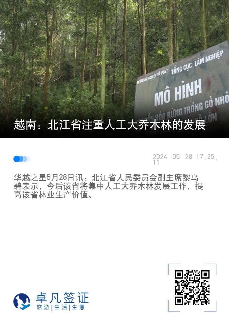 越南：北江省注重人工大乔木林的发展