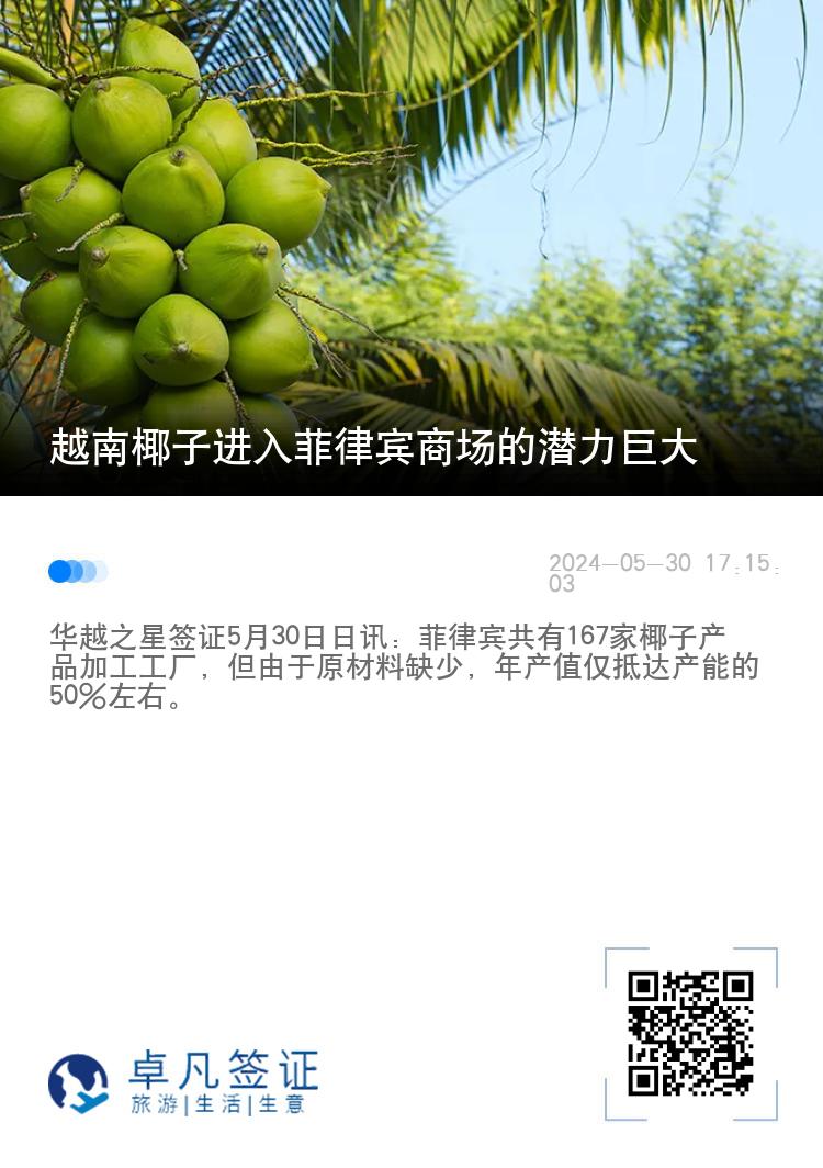 越南椰子进入菲律宾商场的潜力巨大