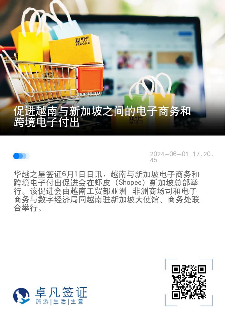 促进越南与新加坡之间的电子商务和跨境电子付出